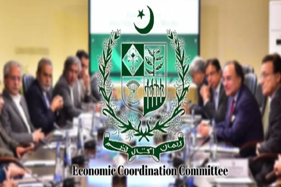 ٹیکنیکل سپلیمنٹری گرانٹ