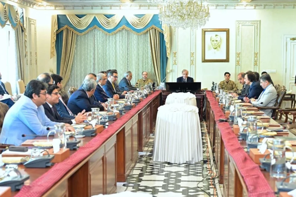 پی آئی اے نجکاری