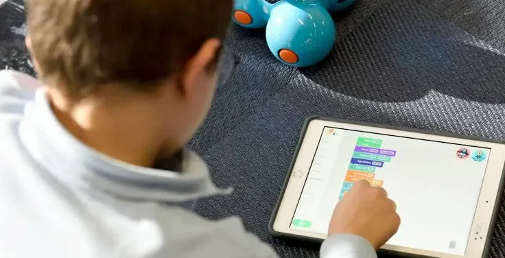 متحدہ عرب امارات میں بچوں کی آن لائن سکیورٹی کیلئے نیا قانون نافذ