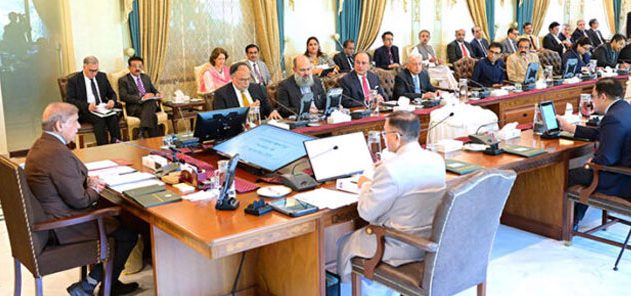 پی آئی اے نجکاری