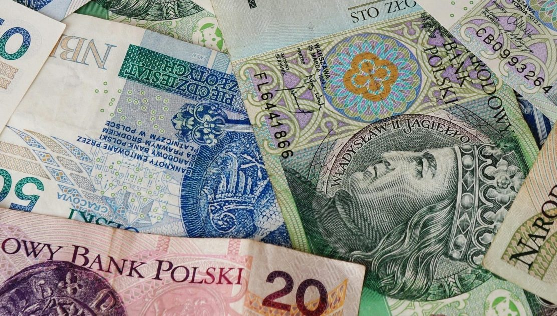 Diverse array of Polish banknotes showcasing various denominations and intricate designs.